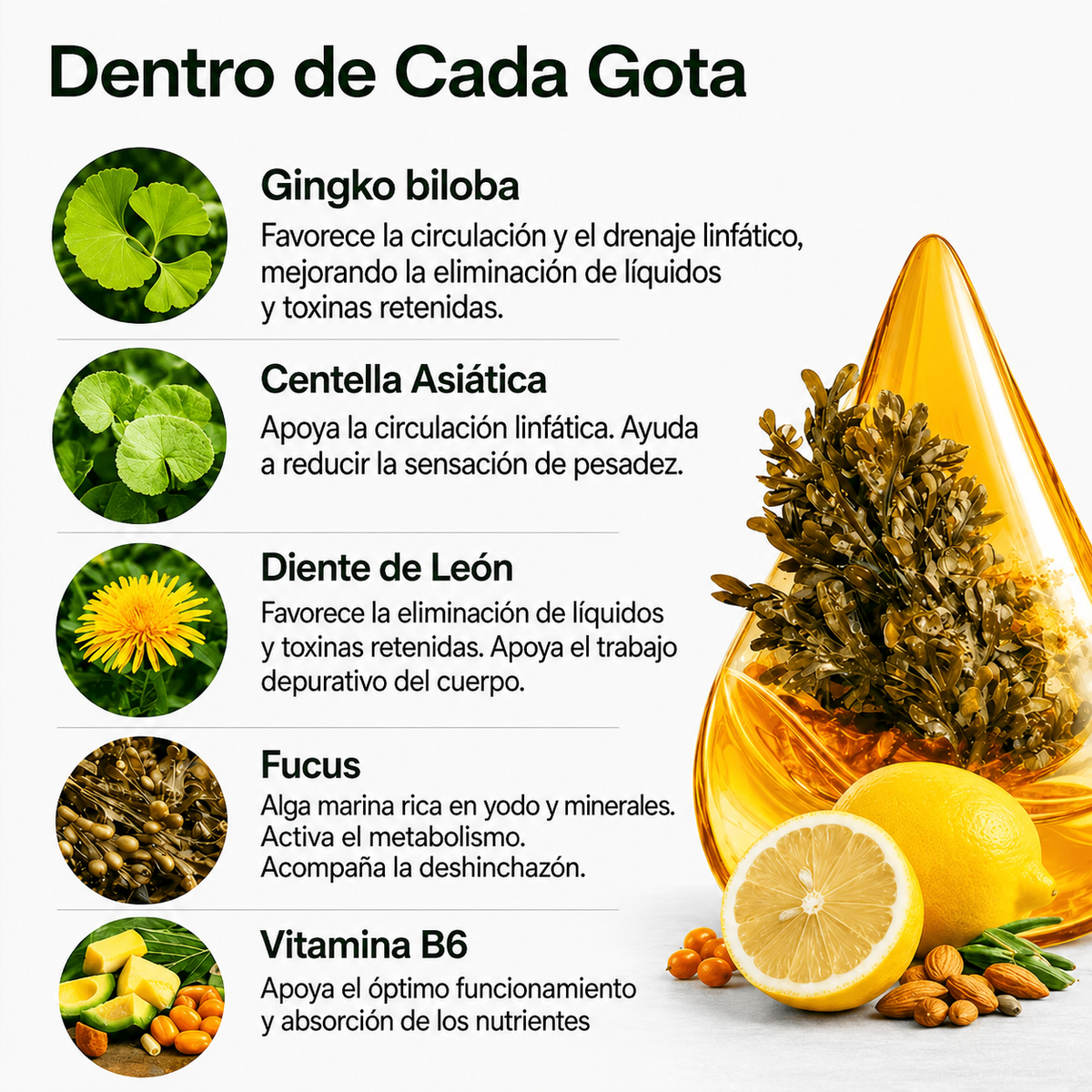 My Drenaje solution™ | Drena Naturalmente